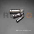 Stainless Steel Four Shield Anchor STM